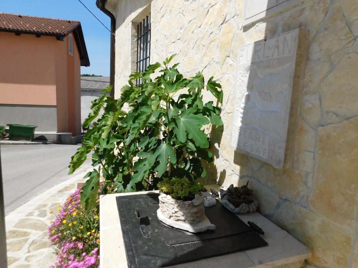 Kamnita Hisa Stari Klesar Villa Ilirska Bistrica Exterior foto